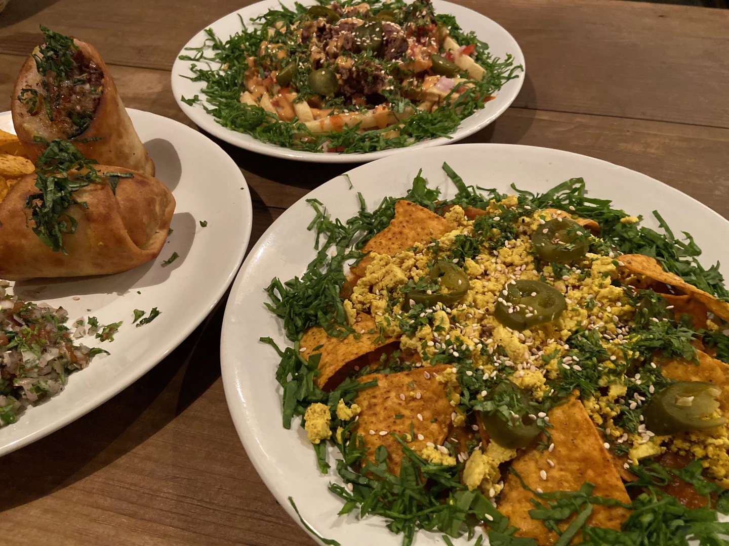 Bibhitaki vegan food in canacona